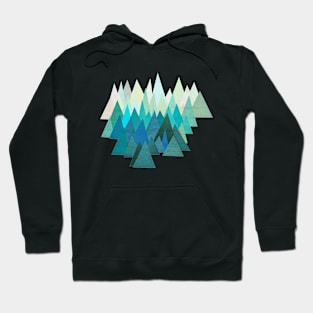 Cold Mountain Hoodie